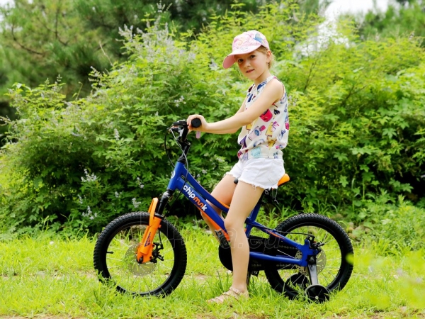 Vaikiškas dviratis "Royal Baby Explorer Chipmunk 16", mėlynas paveikslėlis 3 iš 15