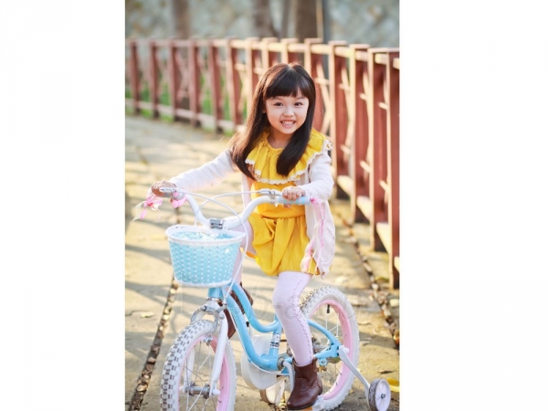 Vaikiškas dviratis "Royal Baby Star Girl 16", mėlynas paveikslėlis 14 iš 21