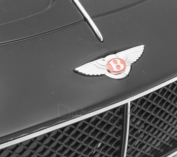 Vaikiškas elektromobilis Bentley EXP12, juodas paveikslėlis 14 iš 14