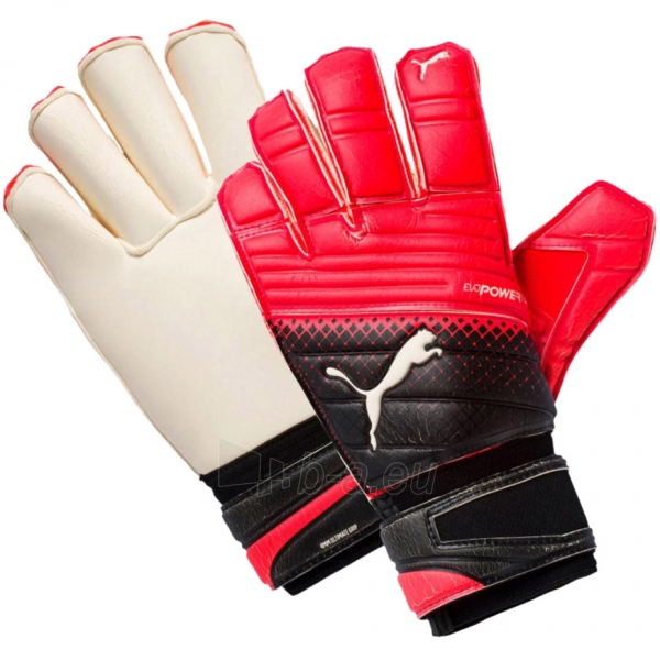 Vartininko pirštinės Puma Evo Power Grip 2.3 GC 041223 20 paveikslėlis 1 iš 1