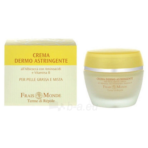 Veido cream Frais Monde (Astringent Cream Oily And Mixed Skin) 50 ml paveikslėlis 1 iš 1