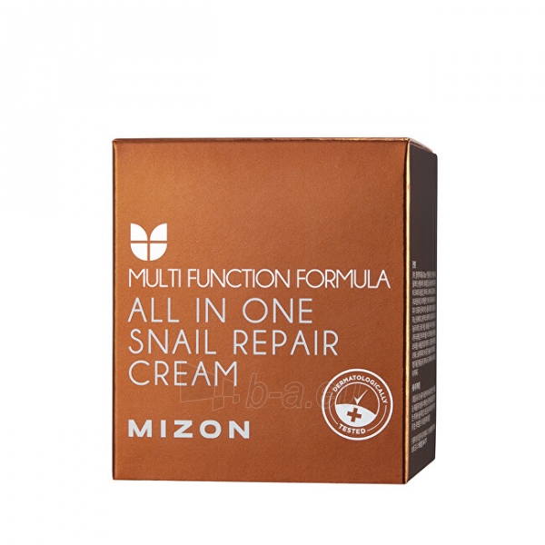 Veido kremas Mizon Regenerating face cream with snail secretion filtrate 92% (All In One Snail Repair Cream) - 35 ml - tuba paveikslėlis 2 iš 6