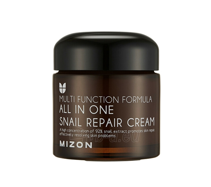 Veido kremas Mizon Regenerating face cream with snail secretion filtrate 92% (All In One Snail Repair Cream) 120 ml paveikslėlis 1 iš 6