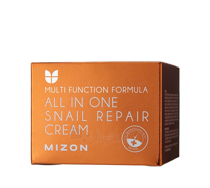 Veido kremas Mizon Regenerating face cream with snail secretion filtrate 92% (All In One Snail Repair Cream) 120 ml paveikslėlis 6 iš 6