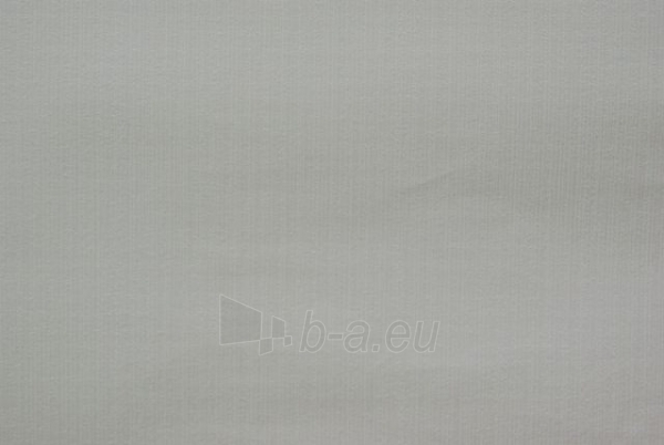 F954-07 53 cm wallpaper paveikslėlis 1 iš 1