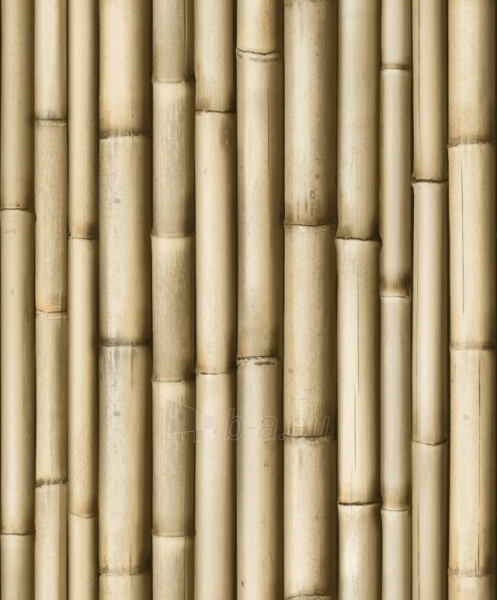 J223-17 53 cm tapetai, šviesūs bambuko piešiniu paveikslėlis 1 iš 1