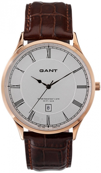 Vyriškas laikrodis Gant Windsor W10666 paveikslėlis 1 iš 1