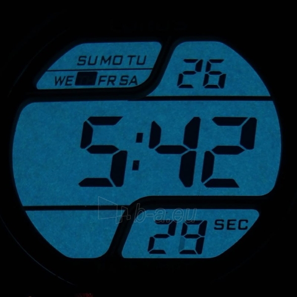 Vīriešu pulkstenis LORUS R2305EX-9 paveikslėlis 4 iš 5