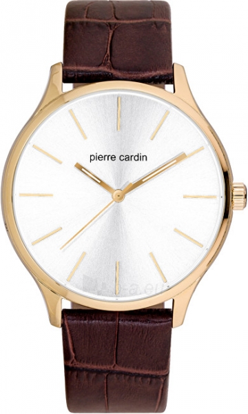 Vyriškas laikrodis Pierre Cardin Danube PC902151F03 paveikslėlis 1 iš 1