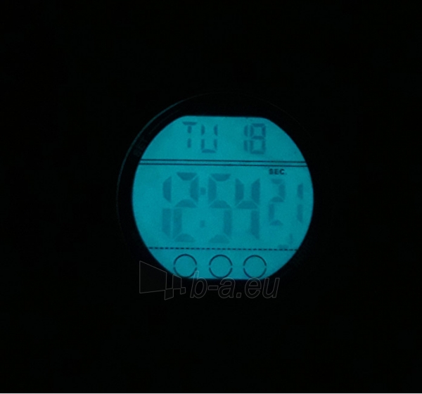 Vyriškas laikrodis Timex Expedition Grid Shock TW4B03000 paveikslėlis 4 iš 10