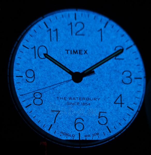 Vyriškas laikrodis Timex Waterbury TW2R25800 paveikslėlis 3 iš 3