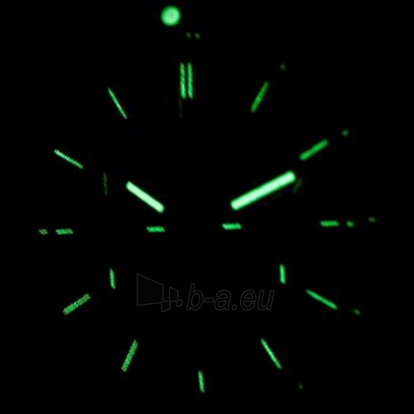 Male laikrodis Vostok Europe Almaz6S11-320C260SI paveikslėlis 3 iš 4