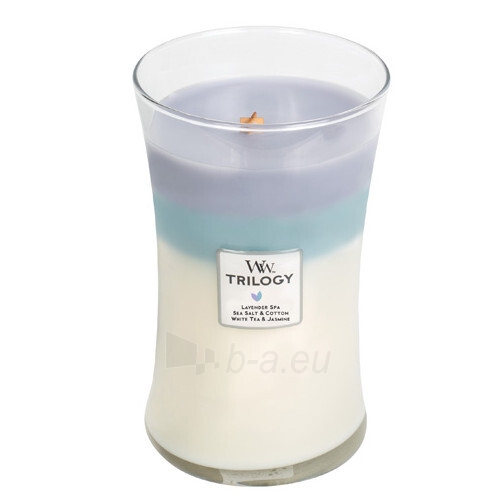 Žvakė WoodWick Scented candle vase large Trilogy Calming Retreat 609.5 g paveikslėlis 1 iš 1